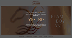 Desktop Screenshot of chateau-cavalier.com